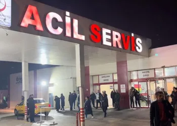 Bursa’da 15 kişi yedikleri mantardan zehirlendi