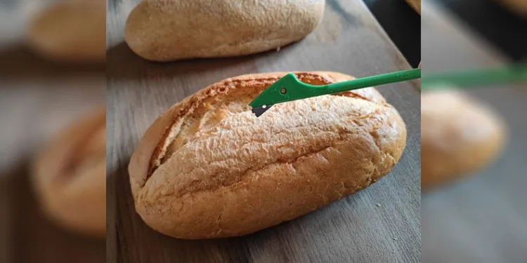 Kestel Belediyesi’nden jiletli ekmek açıklması
