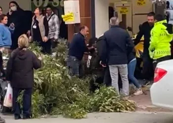 Kaldırımda yürürken başına ağaç dalı düştü