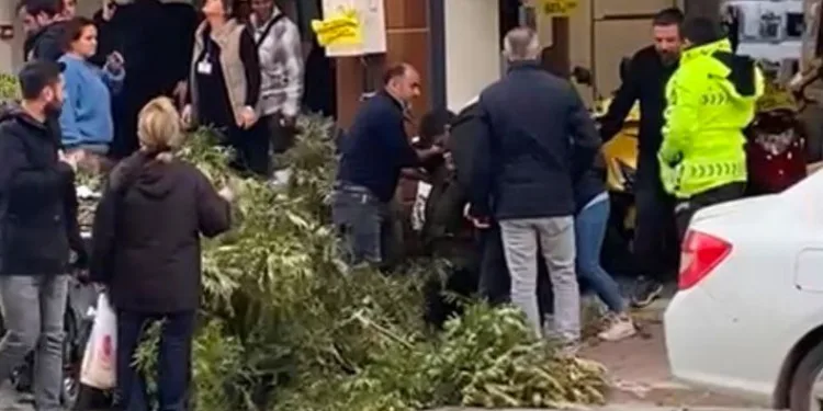 Kaldırımda yürürken başına ağaç dalı düştü
