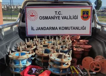 Vanaları çalan hırsızlık şüphelisi yakalandı
