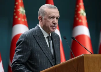 ‘Yanlış yaparsan çılgın Türkler yürür’