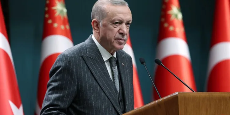 ‘Yanlış yaparsan çılgın Türkler yürür’