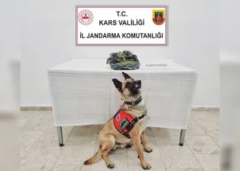 Jandarmadan uyuşturucuya geçit yok