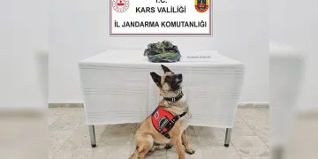 Jandarmadan uyuşturucuya geçit yok