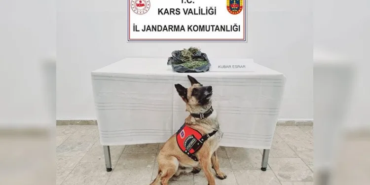 Jandarmadan uyuşturucuya geçit yok