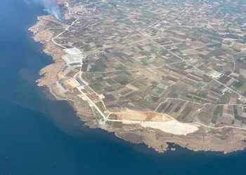 İznik’te sazlık alanda korkutan yangın