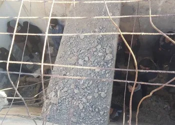 Su deposunda 24 şahıs yakalandı