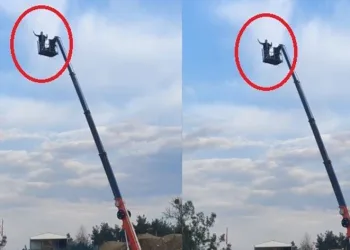 Vincin üzerinden ateş açmıştı, evinde çok sayıda silah çıktı