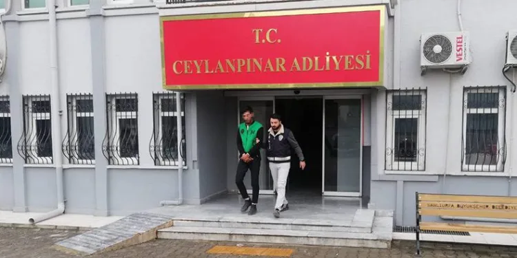 Şanlıurfa’da çifte hırsızlık