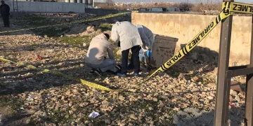 Şanlıurfa’da çöpten bebek çıktı