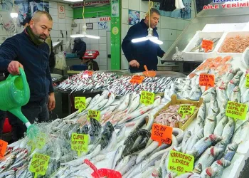 Balık tezgahları çinekop ile şenlendi