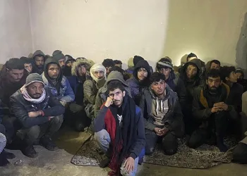 Şanlıurfa’da 101 düzensiz göçmen yakalandı