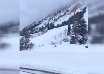 ABD’de kontrollü çığ düşmesi