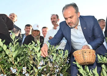 Bursa Büyükşehir’in çiftçiye desteği sürüyor