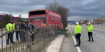 Canlı hayvan taşıyan kamyonet kaza yaptı
