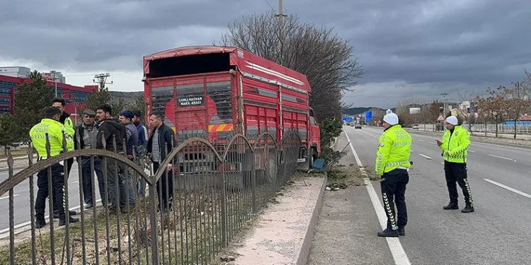 Canlı hayvan taşıyan kamyonet kaza yaptı