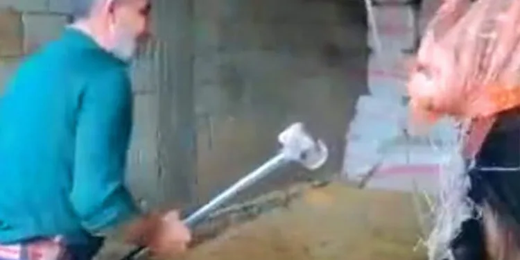 ‘Boğaya şiddet’ davası Şubat’a ertelendi