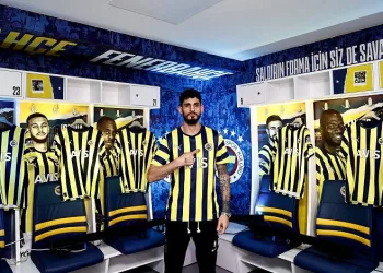 Samet Akaydın, Fenerbahçe’de