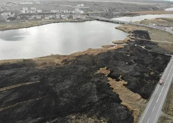 Isınmak için yaktığı ateş 45 dekar alanı kül etti