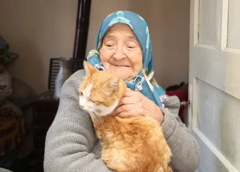 Kedilerin ninesi Fahriye nine