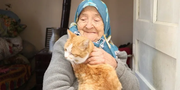 Kedilerin ninesi Fahriye nine