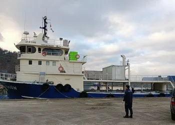 Rize’de 30 ton hamsiye el konuldu
