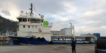 Rize’de 30 ton hamsiye el konuldu
