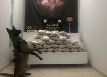 Kocaeli’de uyuşturucu operasyonu