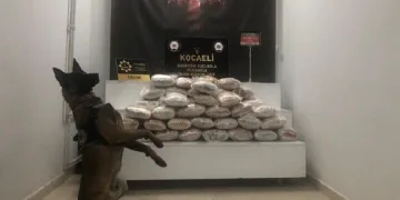 Kocaeli’de uyuşturucu operasyonu