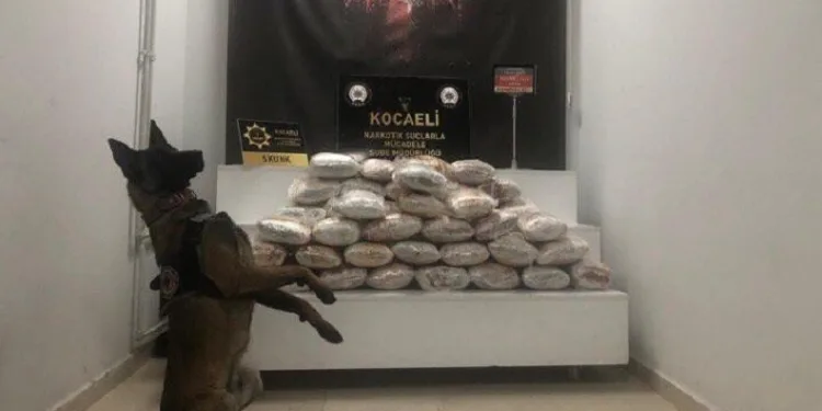 Kocaeli’de uyuşturucu operasyonu