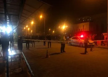 Karşıya geçmek istedi, hayatını kaybetti