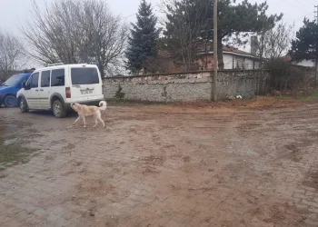 Emekli astsubay eşi ve çocuklarını öldürdü
