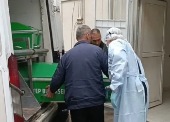 6 yaşındaki çocuğun katil zanlısı annesi çıktı