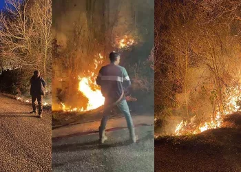 Sakarya’da ormanlık alanda çıkan yangın söndürüldü