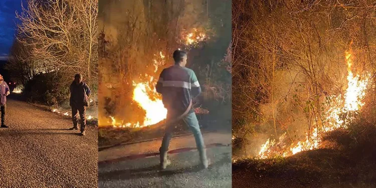 Sakarya’da ormanlık alanda çıkan yangın söndürüldü