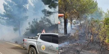 Hatay’da çıkan orman yangını kontrol altına alındı