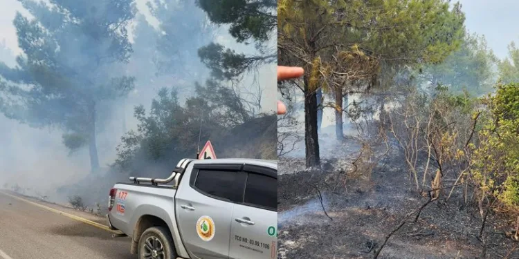 Hatay’da çıkan orman yangını kontrol altına alındı