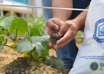 Bursa’da pazar atıkları organik gübreye dönüşüyor