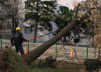 Bursa’da şiddetli lodosun etkisi sürüyor