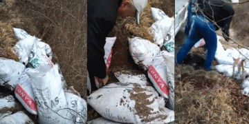 Çevreyi kirletmenin bedeli “Ağır” oldu
