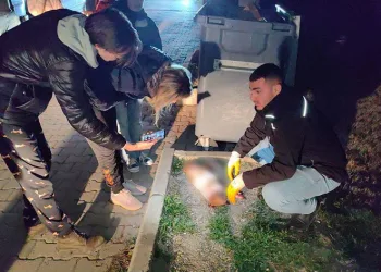 6 ayda 6 can öldürüldü