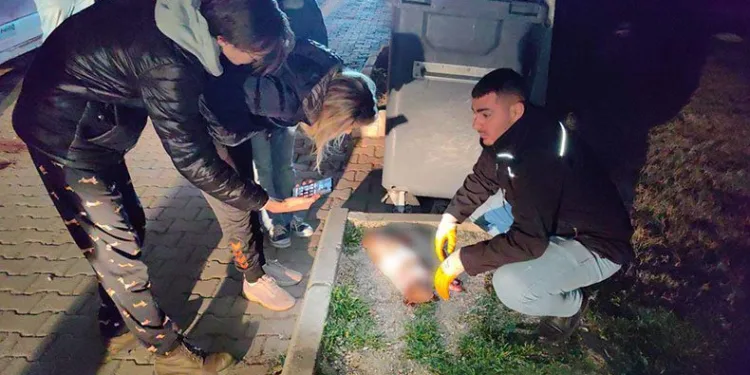 6 ayda 6 can öldürüldü