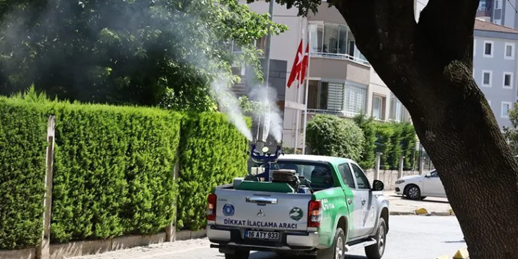 Sinekle mücadele laboratuvara taşındı