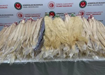 Valizlerin içinde insan saçı bulundu
