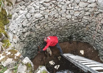 Mahsur kalan köpek böyle kurtarıldı