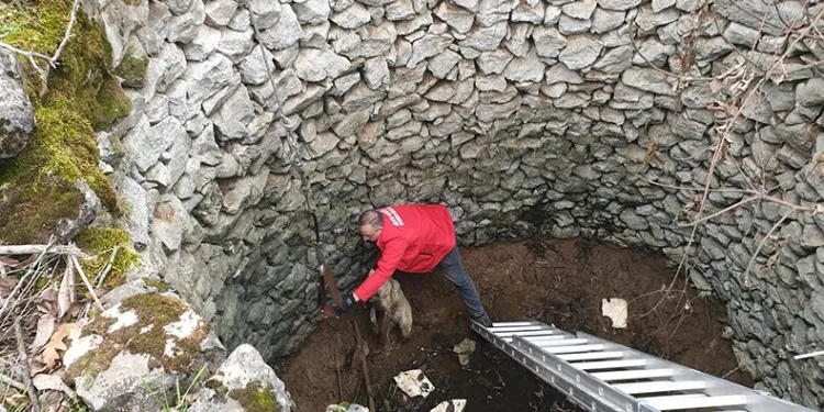Mahsur kalan köpek böyle kurtarıldı