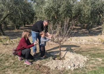 Nilüfer’de ağaçlandırma çalışmaları başladı