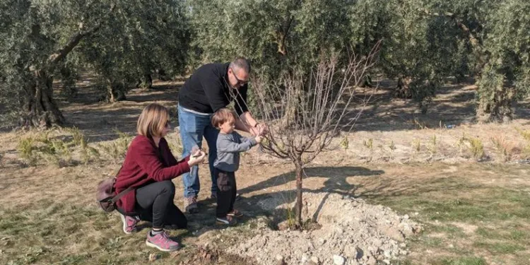 Nilüfer’de ağaçlandırma çalışmaları başladı