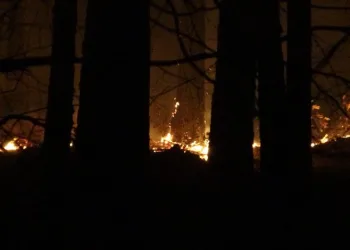 Kaz Dağları’nda ormanlık alanda yangın